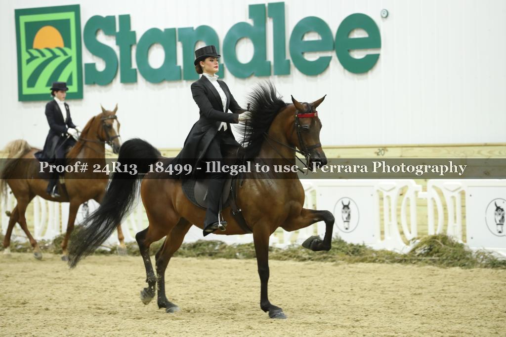 Proof 24R13_18499