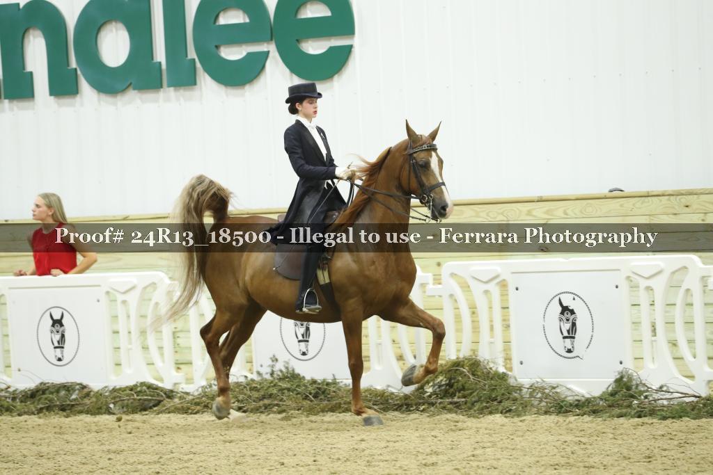 Proof 24R13_18500