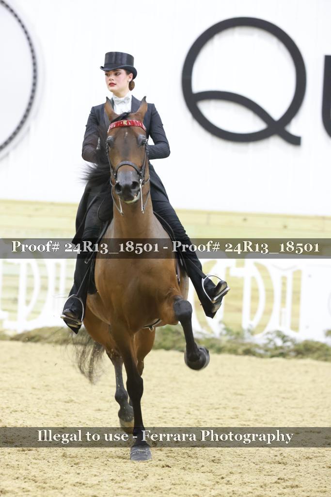 Proof 24R13_18501
