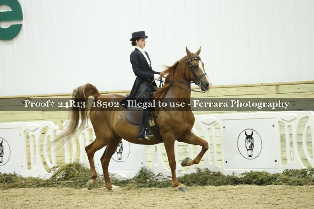 Proof 24R13_18502