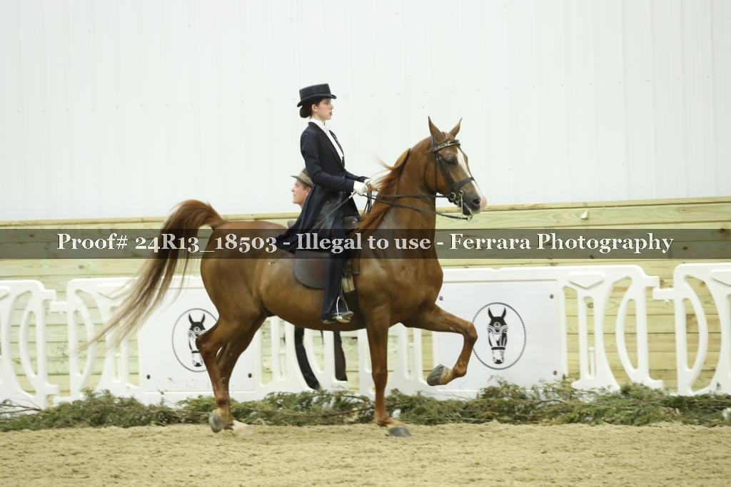 Proof 24R13_18503