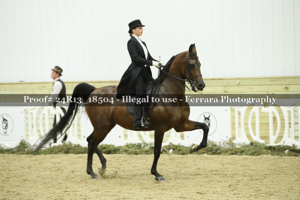 Proof 24R13_18504