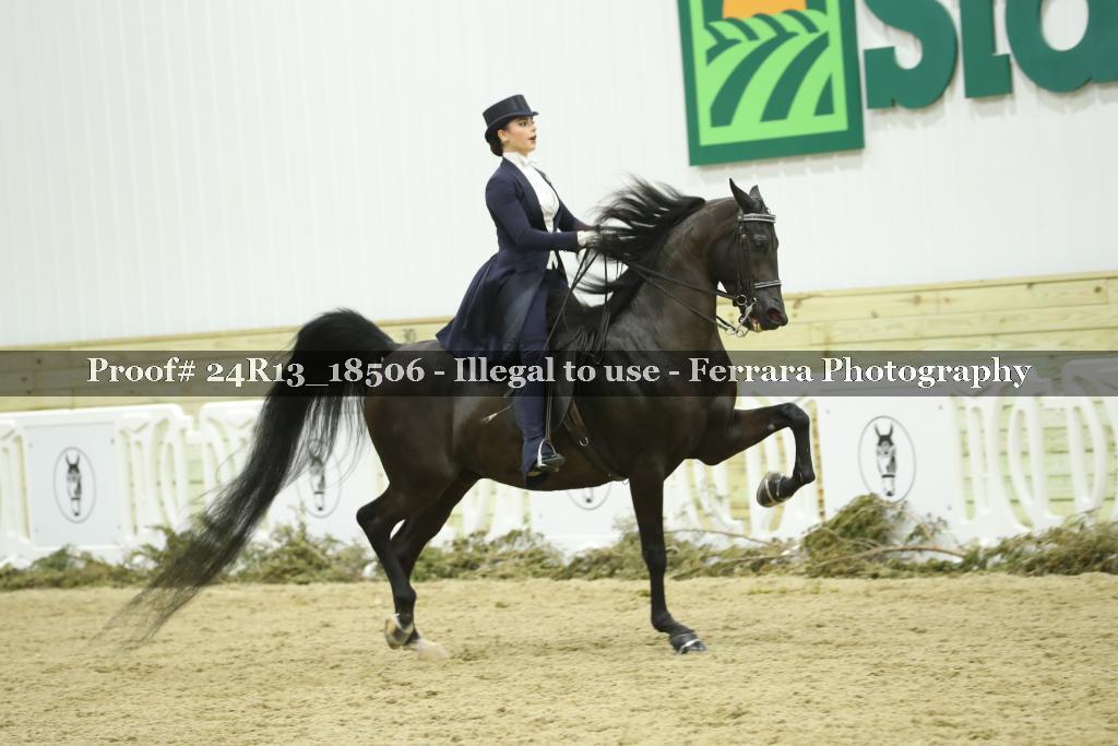 Proof 24R13_18506