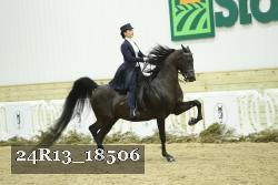 24R13_18506 proof