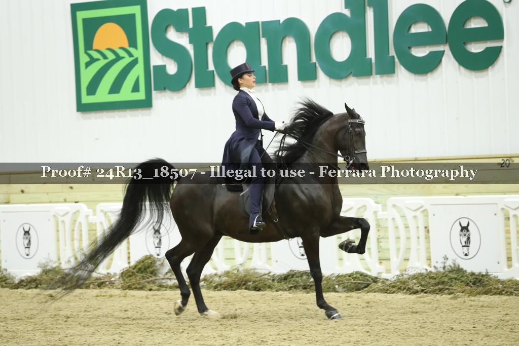 Proof 24R13_18507