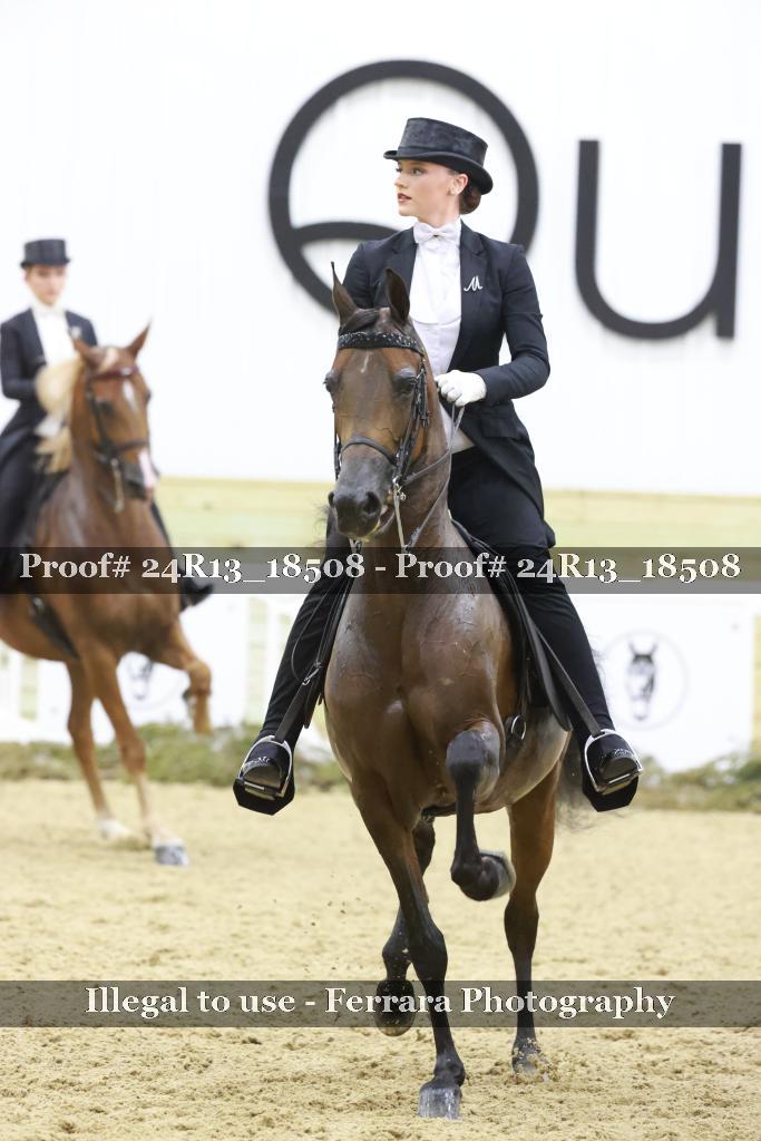 Proof 24R13_18508
