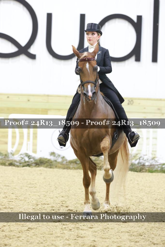 Proof 24R13_18509