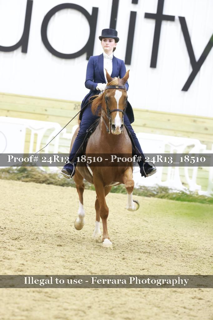 Proof 24R13_18510
