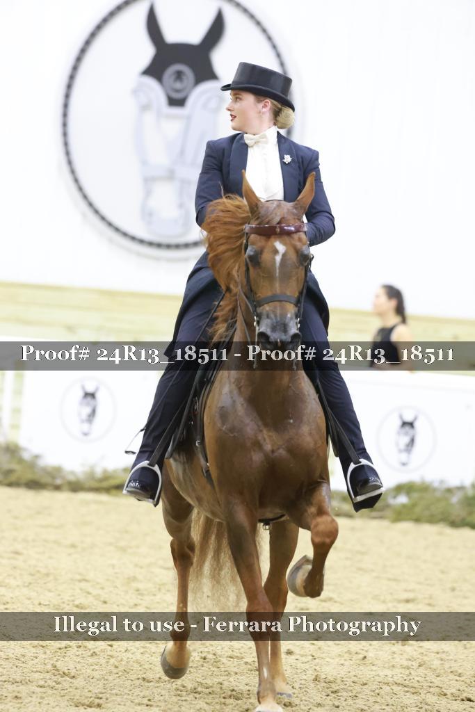 Proof 24R13_18511