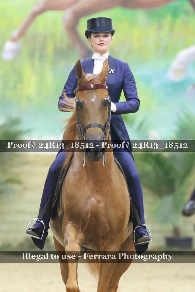 Proof 24R13_18512