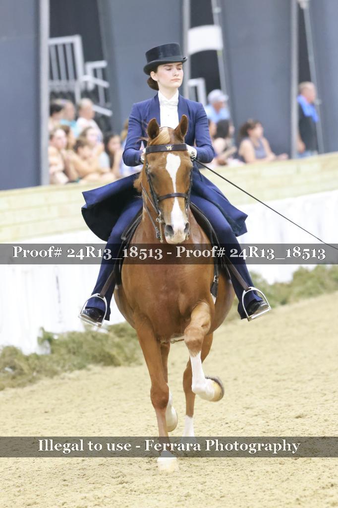 Proof 24R13_18513