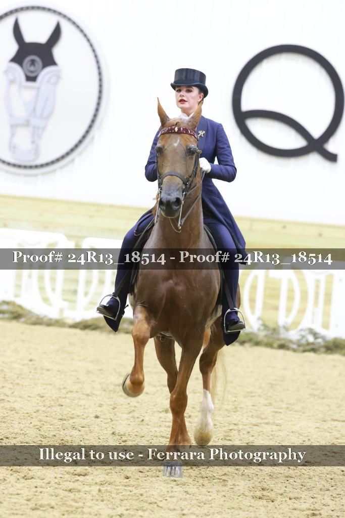 Proof 24R13_18514