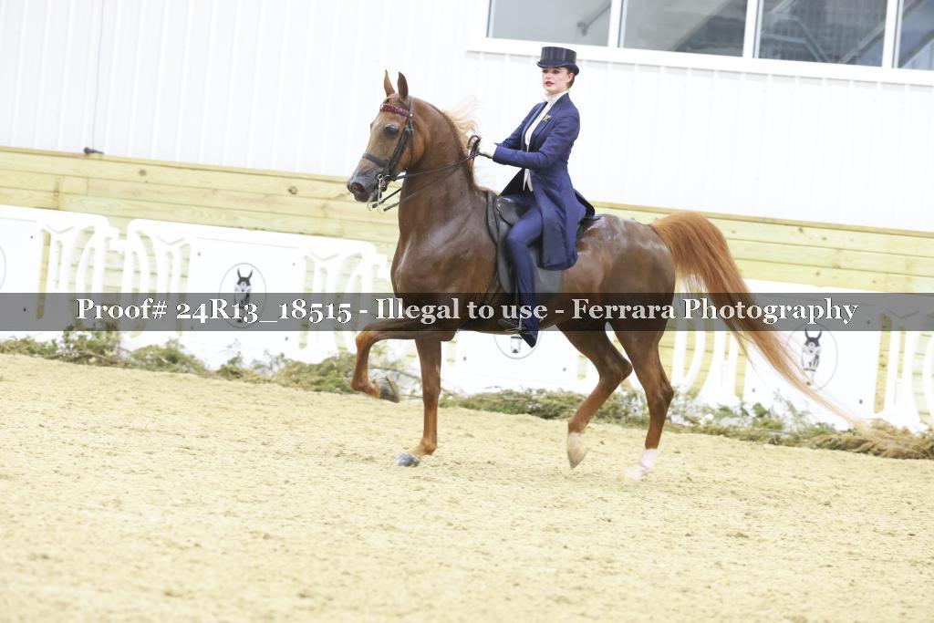 Proof 24R13_18515
