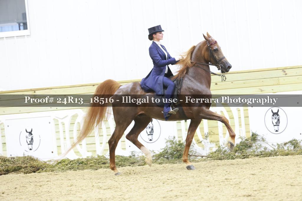 Proof 24R13_18516