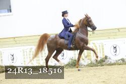 24R13_18516 proof