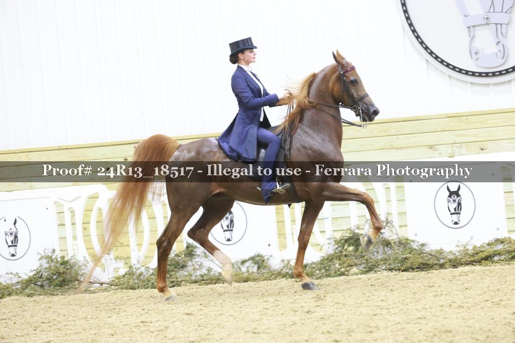Proof 24R13_18517