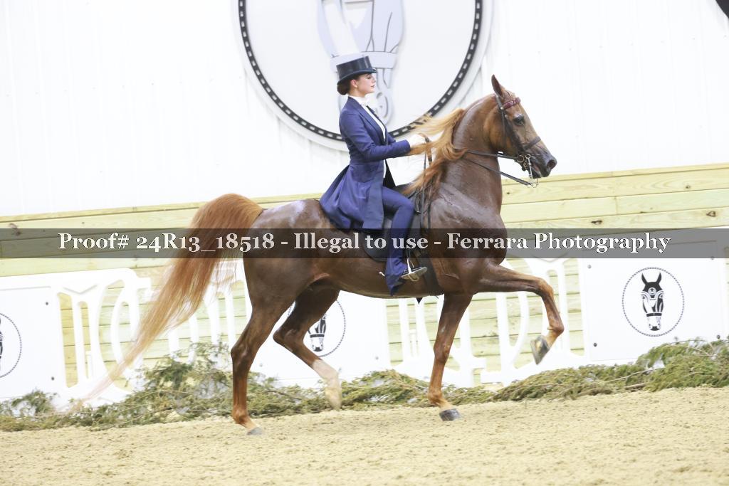 Proof 24R13_18518