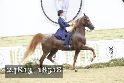24R13_18518 proof