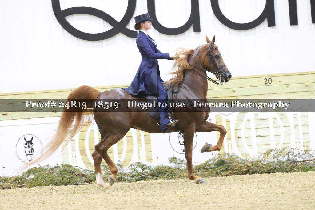 Proof 24R13_18519