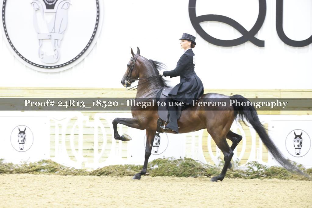 Proof 24R13_18520