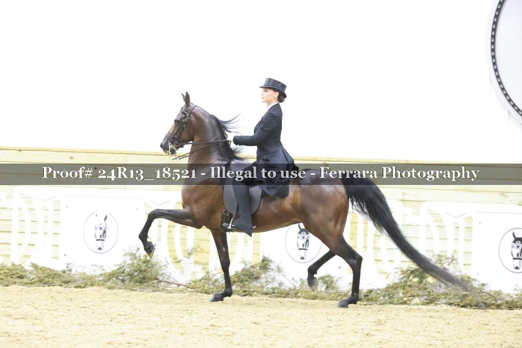 Proof 24R13_18521