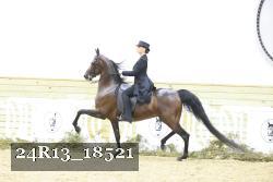 24R13_18521 proof