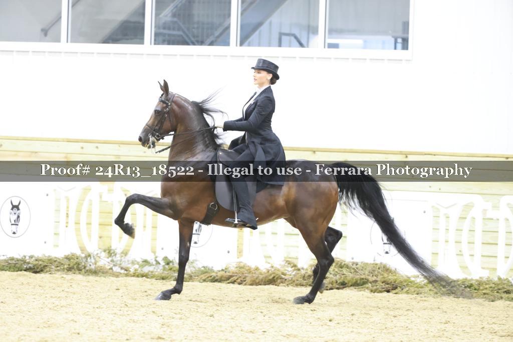 Proof 24R13_18522