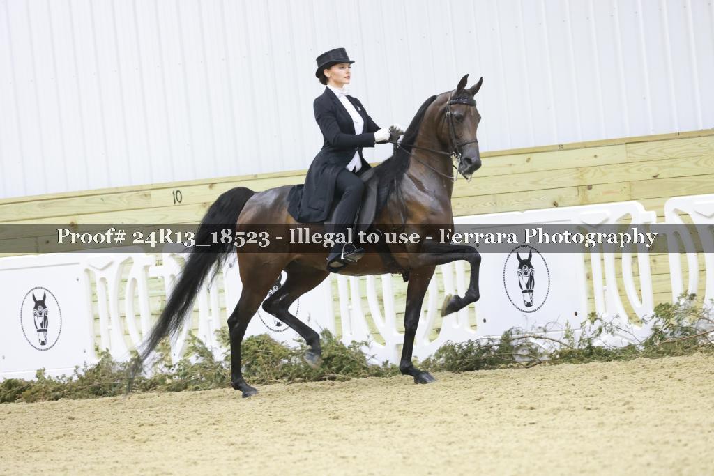 Proof 24R13_18523