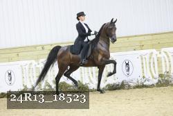 24R13_18523 proof