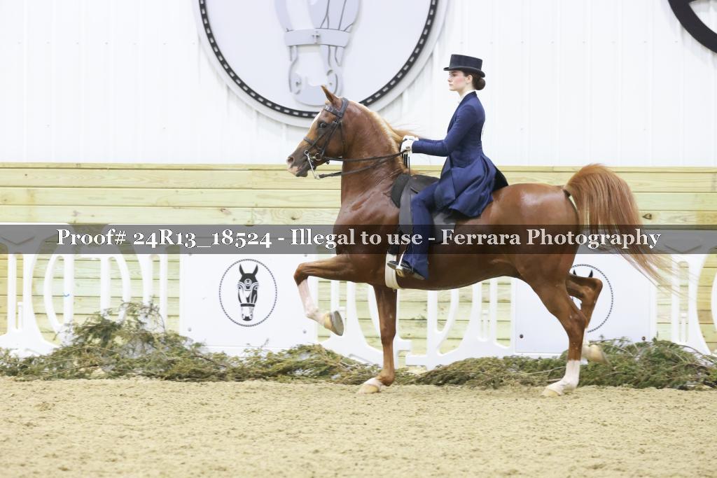 Proof 24R13_18524