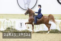 24R13_18524 proof