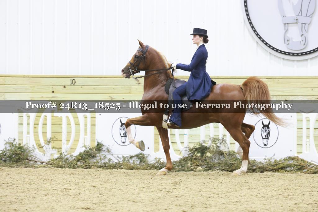 Proof 24R13_18525