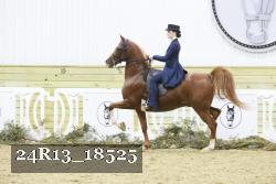 24R13_18525 proof