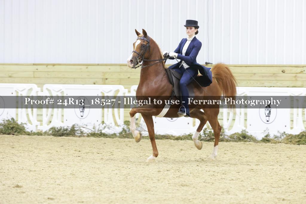Proof 24R13_18527
