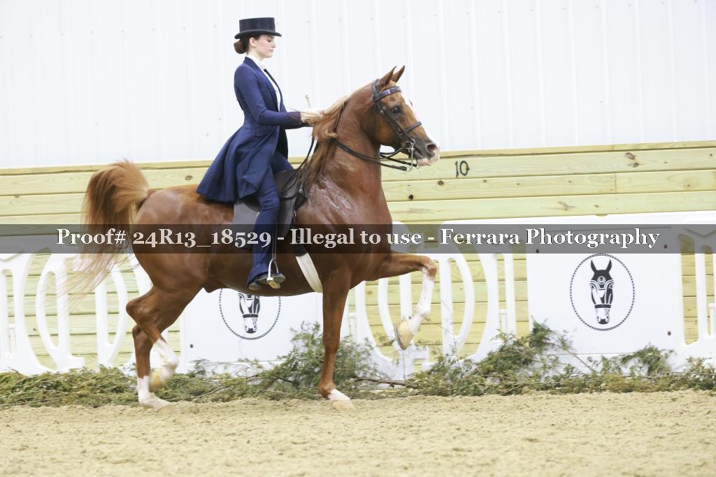 Proof 24R13_18529