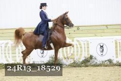 24R13_18529 proof