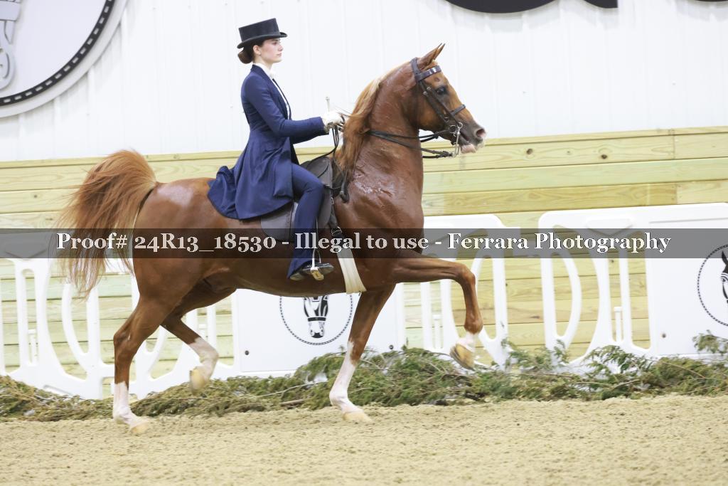 Proof 24R13_18530