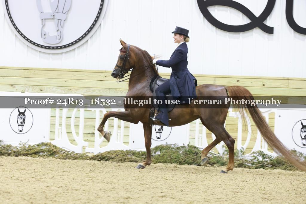Proof 24R13_18532