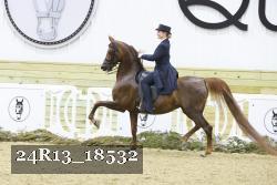 24R13_18532 proof