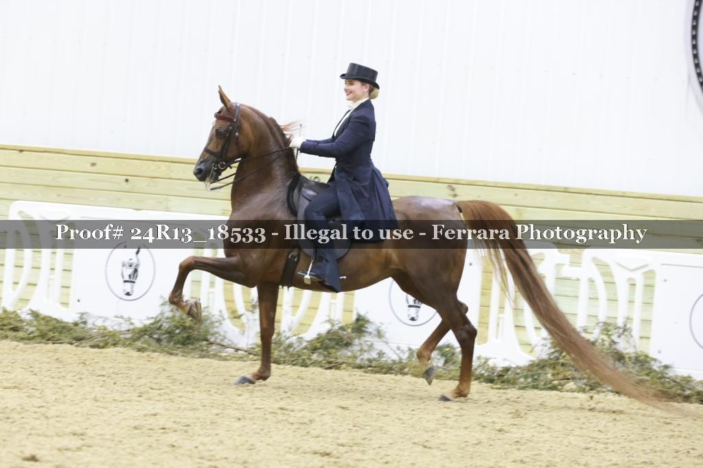 Proof 24R13_18533