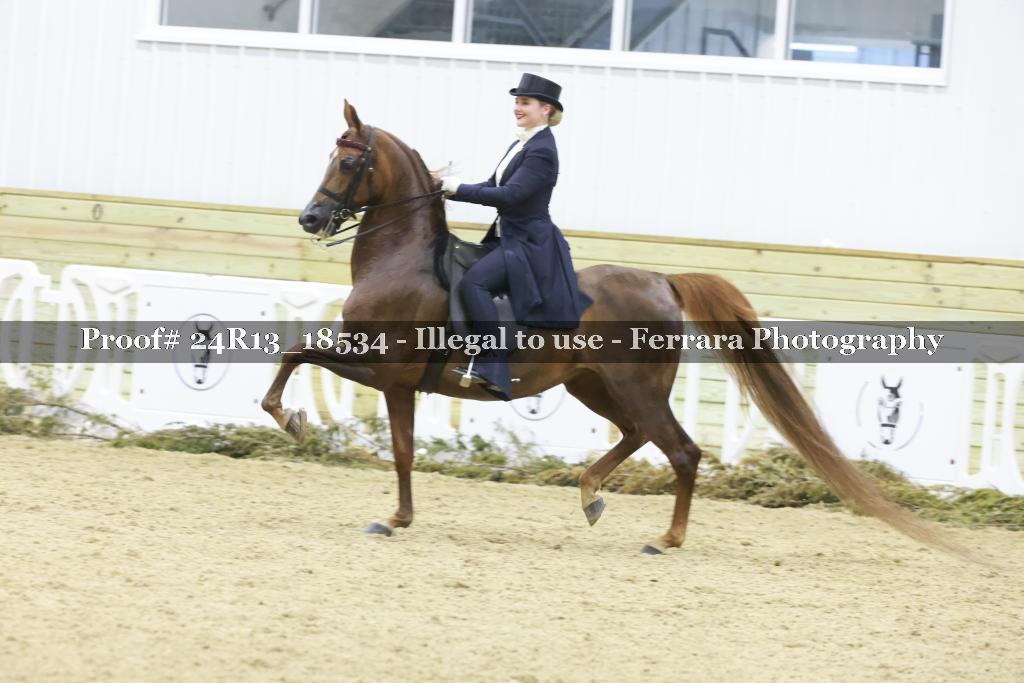 Proof 24R13_18534