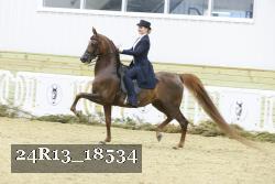 24R13_18534 proof