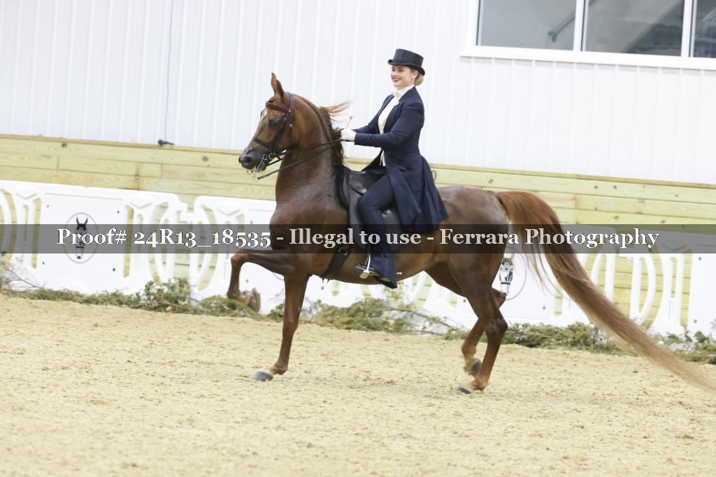 Proof 24R13_18535