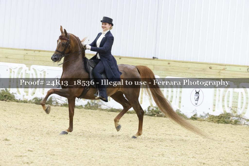 Proof 24R13_18536