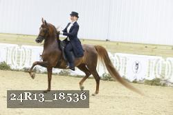24R13_18536 proof