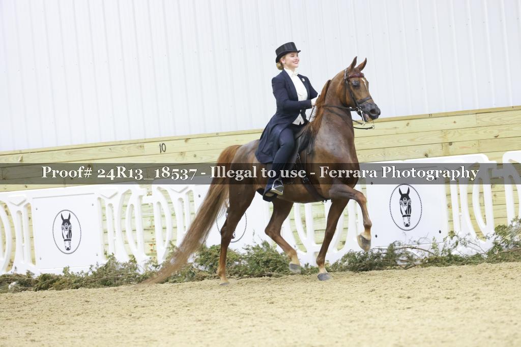 Proof 24R13_18537