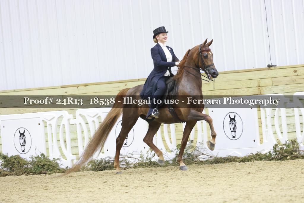 Proof 24R13_18538