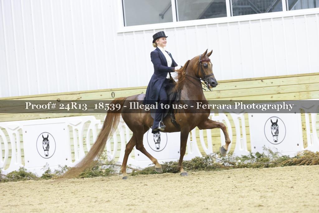 Proof 24R13_18539