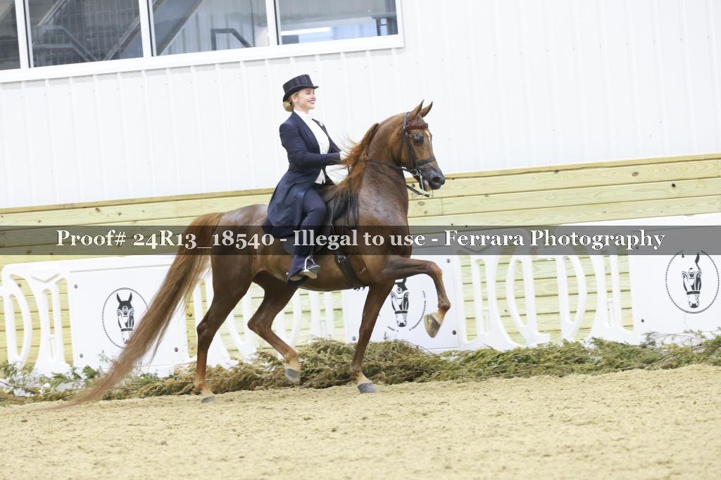 Proof 24R13_18540