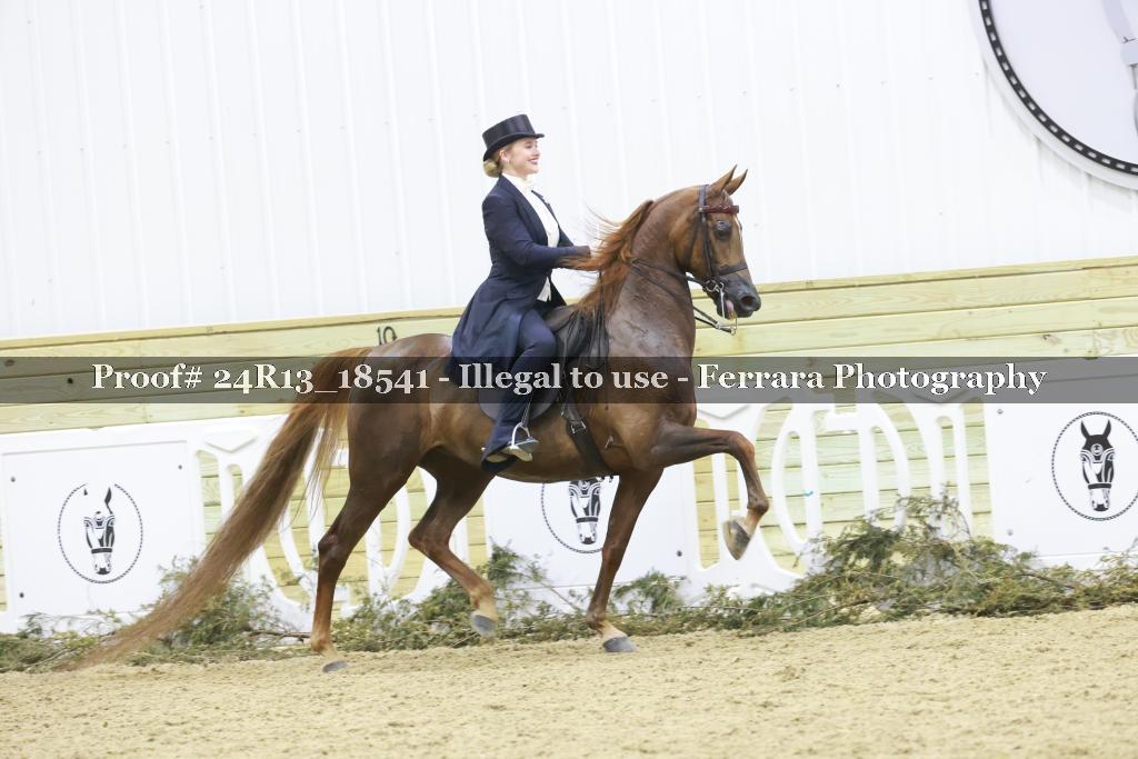 Proof 24R13_18541